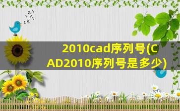 2010cad序列号(CAD2010序列号是多少)