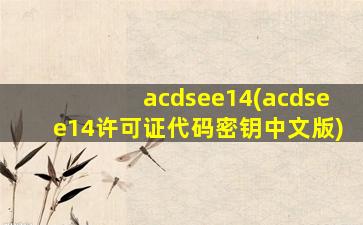acdsee14(acdsee14许可证代码密钥中文版)