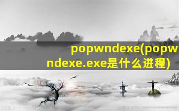 popwndexe(popwndexe.exe是什么进程)