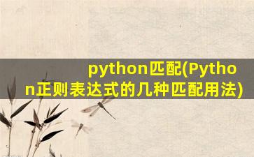 python匹配(Python正则表达式的几种匹配用法)