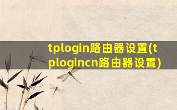 tplogin路由器设置(tplogincn路由器设置)